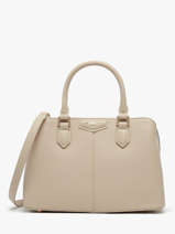 Handtassen Paris David jones Beige paris CM7427