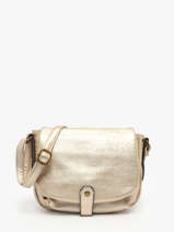 Cross Body Tas Eva Miniprix Goud eva MD5564
