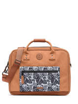 Documententas Cabaia Bruin laptop MESS