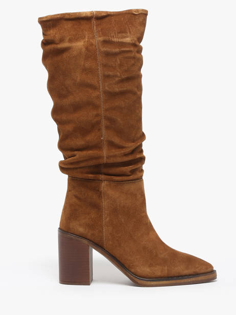 Laarzen Met Hak Camden Uit Leder Alpe Bruin women 52191101