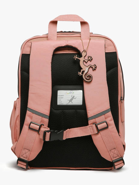 Rugzak 2 Compartimenten Cameleon Roze vintage fantasy SO40 ander zicht 4