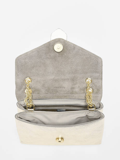 Cross Body Tas Jana Irise Leder Etrier Goud jana irise EJIR002R ander zicht 2